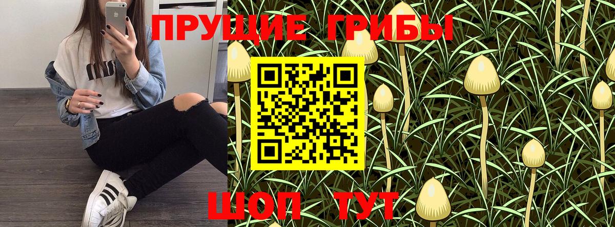 Галлюциногенные грибы GOLDEN TEACHER Коломна